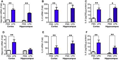 Frontiers | Impairment of Hepcidin Upregulation by Lipopolysaccharide